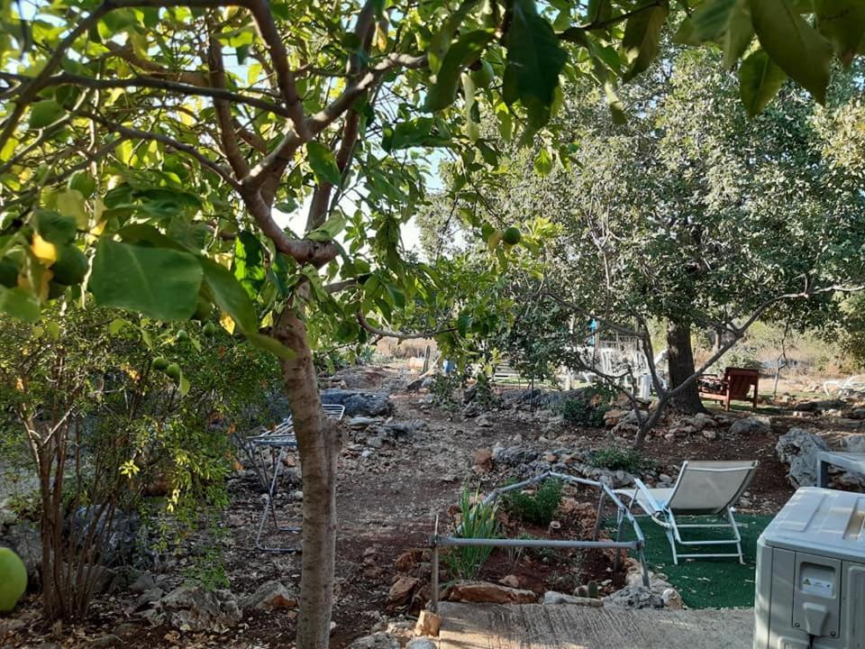בקתת עץ בחורש במנות - דום גיאודזי - Wooden Cabin In Manot Exterior foto